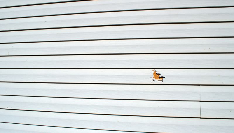 Sealing and Finishing Vinyl Siding